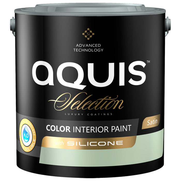 INTERIOR PAINT WITH SILICONE SPRING FIELD 2.5 L AQUIS