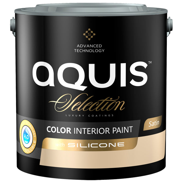 INTERIOR PAINT WITH SILICONE IRISH COFFEE 2.5 L AQUIS