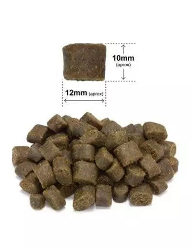 ARQUIVET Fresh Salmon with turkey - semi-moist dog food - 10 kg