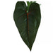 ARTIFICIAL ANTHURIUM PLANT 55CM HD HD-10991 - Изкуствени растения<<<Стайни растения<<<Градина<<<Praktiker