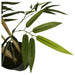 ARTIFICIAL BAMBOO PLANT 150CM HD HD-10979 - Изкуствени растения<<<Стайни растения<<<Градина<<<Praktiker
