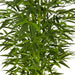 ARTIFICIAL BAMBOO PLANT 155CM HD HD-10971 - Изкуствени растения<<<Стайни растения<<<Градина<<<Praktiker