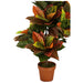 ARTIFICIAL CROTON PLANT 95CM HD HD-10977 - Изкуствени растения<<<Стайни растения<<<Градина<<<Praktiker