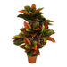 ARTIFICIAL CROTON PLANT 95CM HD HD-10977 - Изкуствени растения<<<Стайни растения<<<Градина<<<Praktiker