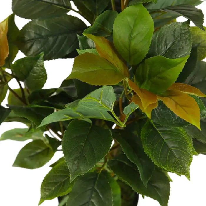 ARTIFICIAL FICUS PLANT 65CM HD HD-10982 - Изкуствени растения<<<Стайни растения<<<Градина<<<Praktiker