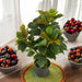 ARTIFICIAL FICUS PLANT 65CM HD HD-10982 - Изкуствени растения<<<Стайни растения<<<Градина<<<Praktiker