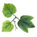 ARTIFICIAL LIANA VINE 250CM 187057 - Изкуствени растения<<<Стайни растения<<<Градина<<<Praktiker
