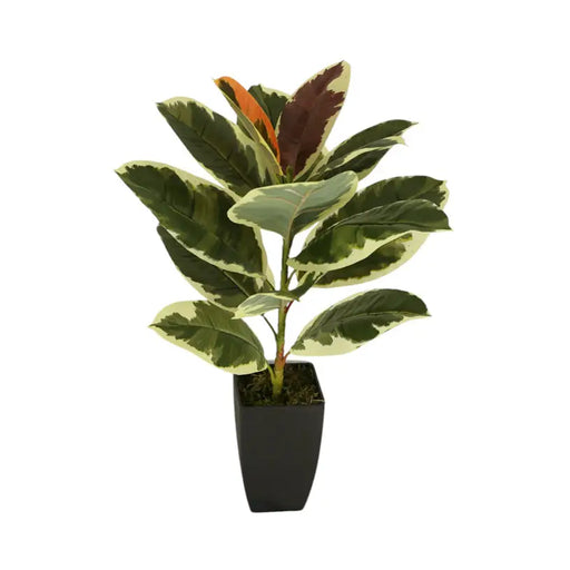 ARTIFICIAL PLANT AGLAONEMA 60CM HD HD-10976 - Изкуствени растения<<<Стайни растения<<<Градина<<<Praktiker