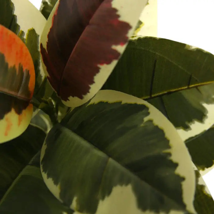 ARTIFICIAL PLANT AGLAONEMA 60CM HD HD-10976 - Изкуствени растения<<<Стайни растения<<<Градина<<<Praktiker