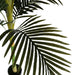 ARTIFICIAL PLANT ARECA PALM 210CM HD HD-10974 - Изкуствени растения<<<Стайни растения<<<Градина<<<Praktiker