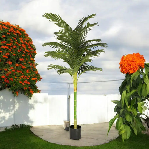 ARTIFICIAL PLANT ARECA PALM 210CM HD HD-10974 - Изкуствени растения<<<Стайни растения<<<Градина<<<Praktiker