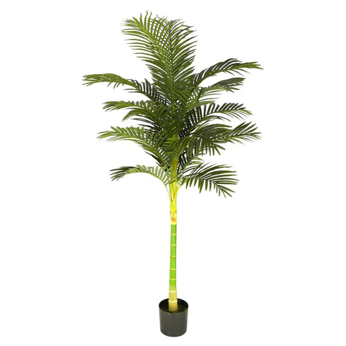 ARTIFICIAL PLANT ARECA PALM 210CM HD HD-10974 - Изкуствени растения<<<Стайни растения<<<Градина<<<Praktiker
