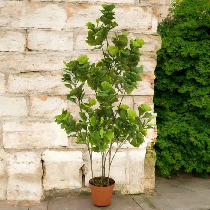 ARTIFICIAL PLANT GINKO BILOBA 115CM HD HD-10983 - Изкуствени растения<<<Стайни растения<<<Градина<<<Praktiker