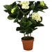 ARTIFICIAL PLANT HYDRANGEA 72CM HD HD-10989 - Изкуствени растения<<<Стайни растения<<<Градина<<<Praktiker