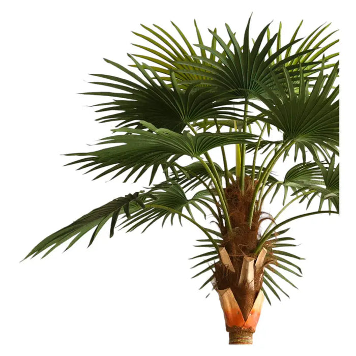 ARTIFICIAL PLANT LIVISTONE PALM 300CM HD HD-10970 - Изкуствени растения<<<Стайни растения<<<Градина<<<Praktiker