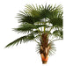 ARTIFICIAL PLANT LIVISTONE PALM 300CM HD HD-10970 - Изкуствени растения<<<Стайни растения<<<Градина<<<Praktiker