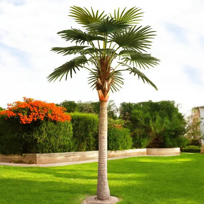 ARTIFICIAL PLANT LIVISTONE PALM 300CM HD HD-10970 - Изкуствени растения<<<Стайни растения<<<Градина<<<Praktiker