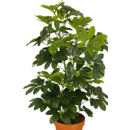 ARTIFICIAL PLANT SCHEFLERA 65CM HD HD-10980 - Изкуствени растения<<<Стайни растения<<<Градина<<<Praktiker