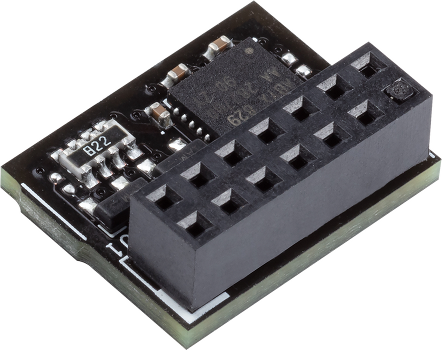 ASUS TPM-SPI security module
