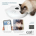 Automatic feeder Catit - Домашни Животни<<<Дом Градина<<<BigBuy&&&Купички за храна и вода<<<Домашни Животни<<<Дом