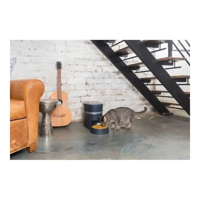 Automatic feeder PetSafe Black Stainless steel - Домашни Животни<<<Дом Градина<<<BigBuy&&&Купички за храна и