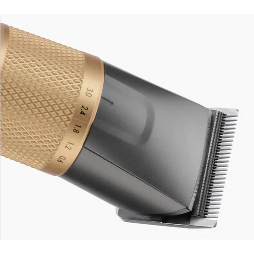 BaByliss E987E hair trimmers/clipper Gold Graphite Lithium-Ion (Li-Ion) - Hair clippersAGD-STR<<<Home Appliance