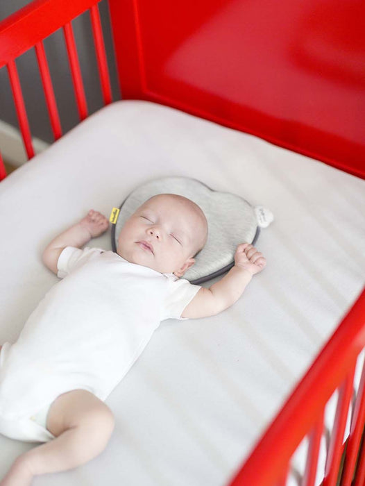 Cushion Babymoov Lovenest Grey