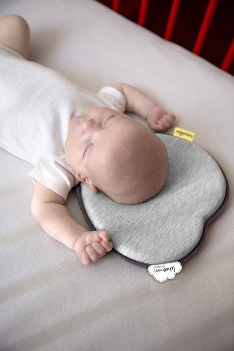 Cushion Babymoov Lovenest Grey
