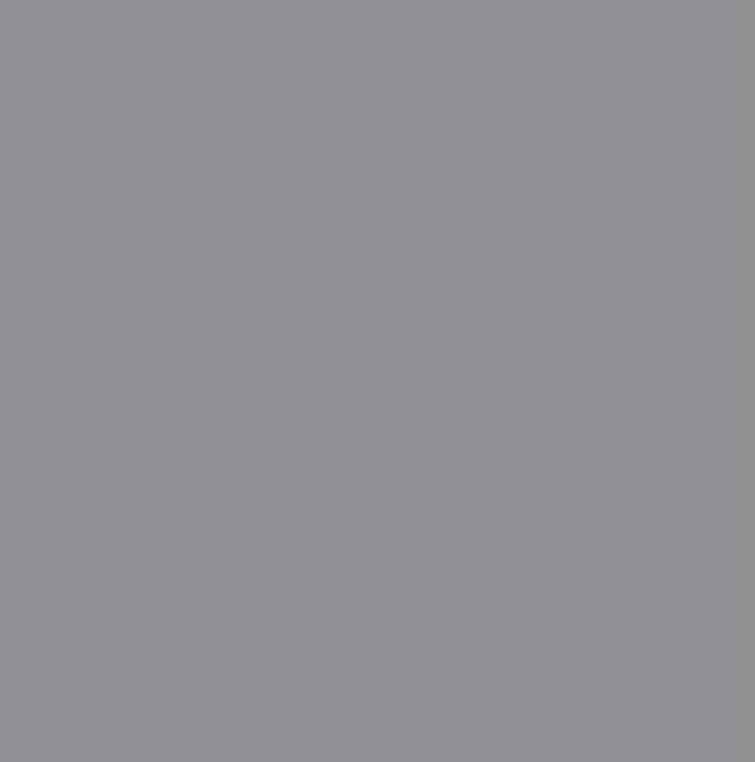 PAINT INFINITY 2IN1 GREY 0.75L