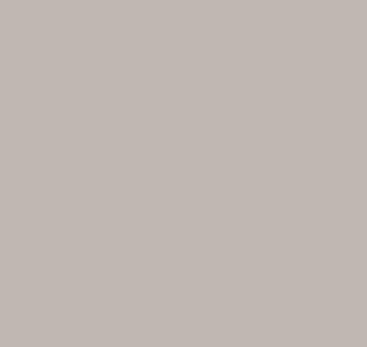 INFINITY 2IN1 BEIGE PAINT 0.75L