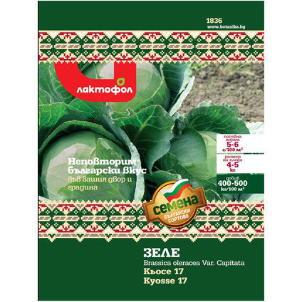BULGARIAN KYOCE CABBAGE SEEDS