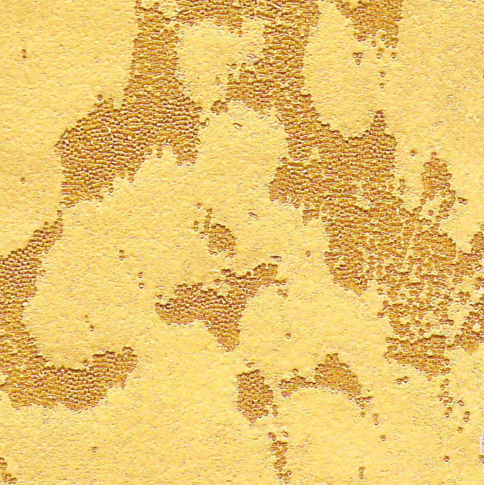 PEARL PAINT GLASS SPHERES DI VETRO 01