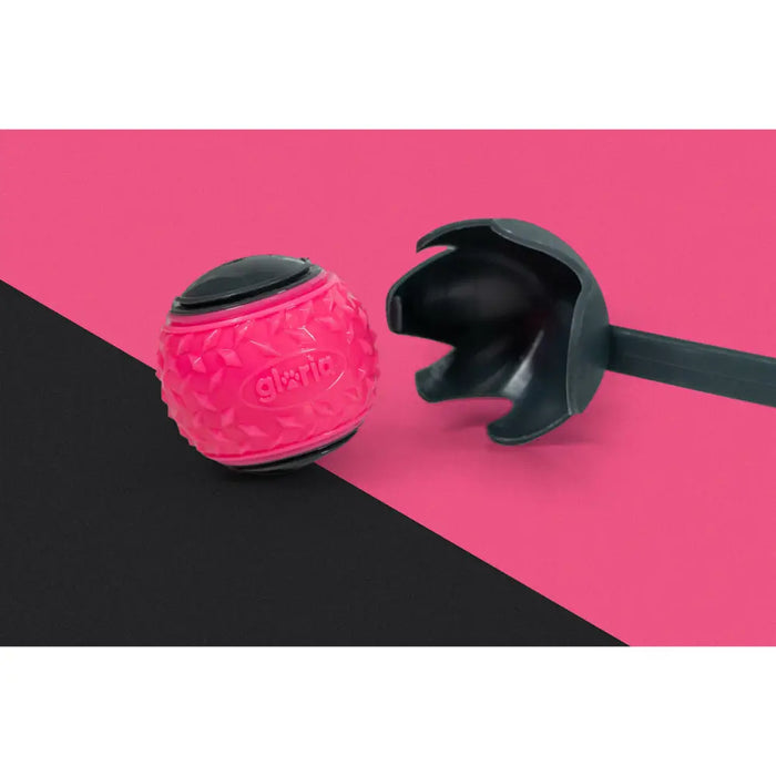 Ball Launcher for Dogs Gloria Grey polypropylene TPR M - Домашни Животни<<<Дом Градина<<<BigBuy&&&Играчки<<<Домашни