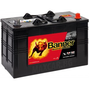 BANNER BUFFALO BULL 110AH 800A R+