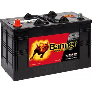 BANNER BUFFALO BULL 110AH 800A L+