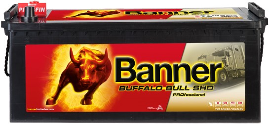 BANNER BUFFALO BULL SHD PRO 145AH 800A L+