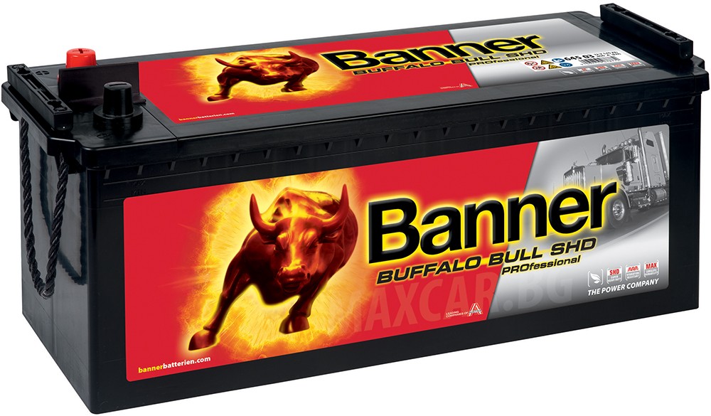 BANNER BUFFALO BULL SHD PRO 145AH 800A L+