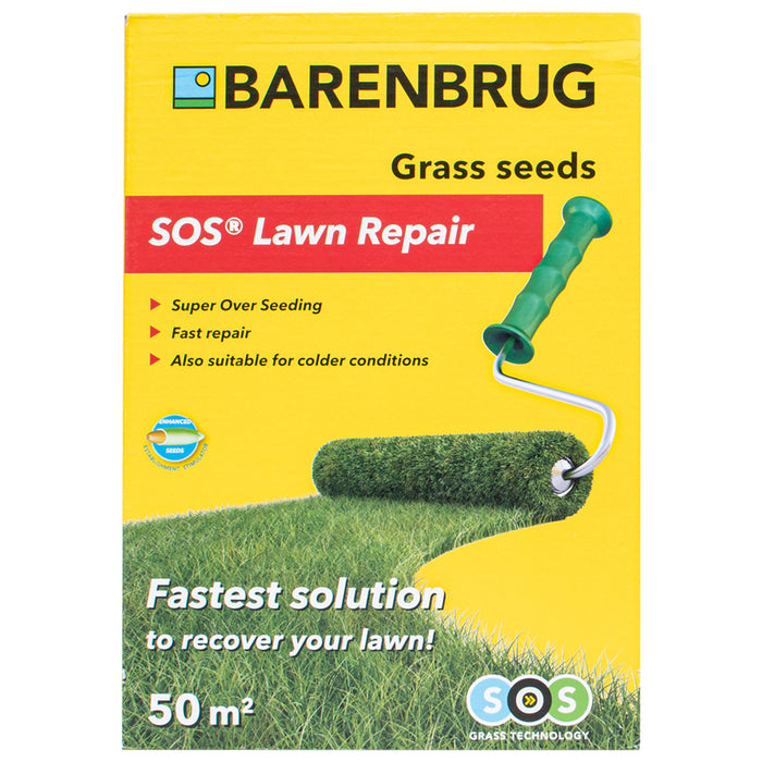 GRASS MIXTURE 1KG, 30-50M² BARENBRUG