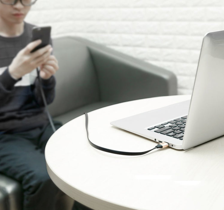 Baseus Nimble flat cable USB / USB-C cable with holder 2A 0.23M black (CATMBJ-01)