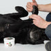 Beeswax Pawz MAXWAX 200 gr - Домашни Животни<<<Дом Градина<<<BigBuy&&&Здраве и хигиена<<<Домашни Животни<<<Дом