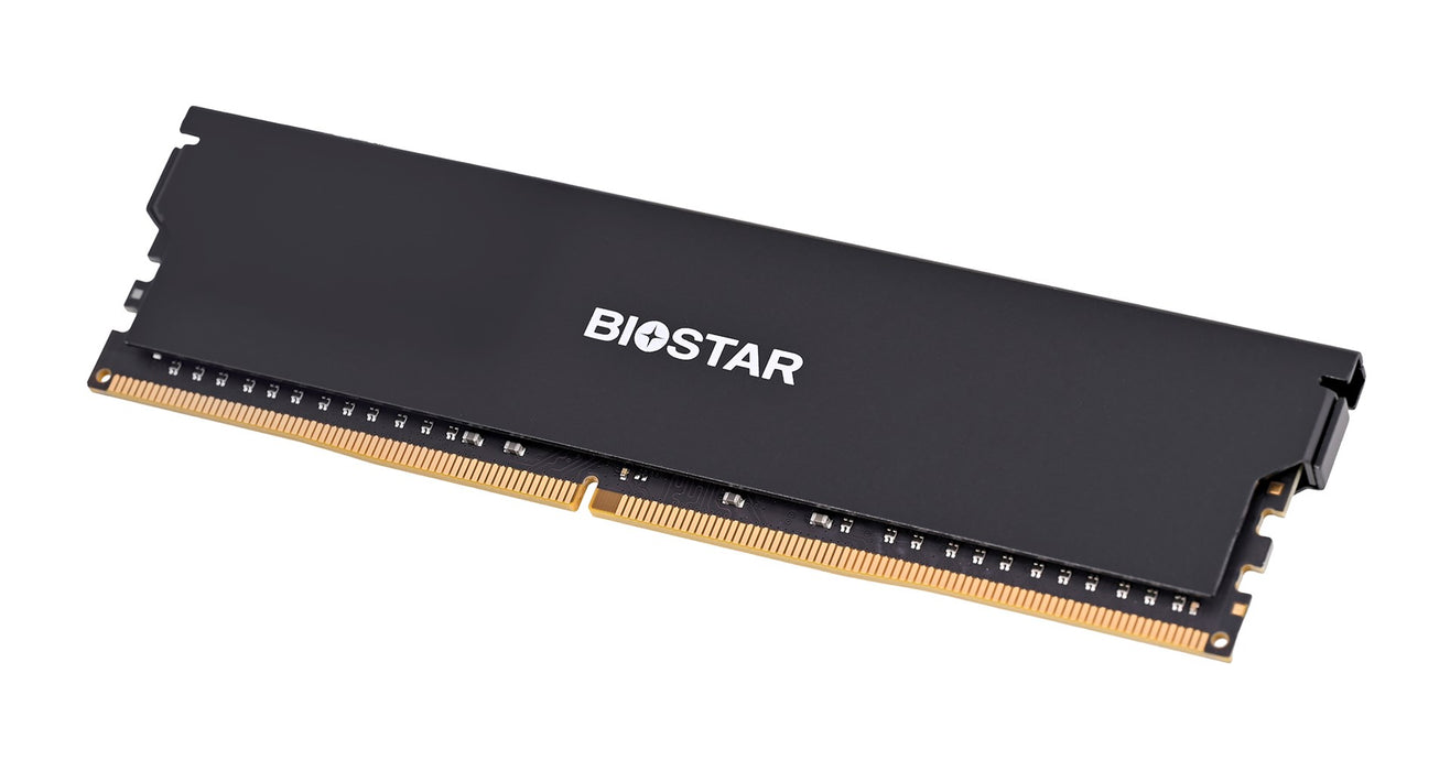 Biostar DDR4 Storming V memory module 8 GB 1 x 8 GB 3200 MHz (DX32NU4H08)