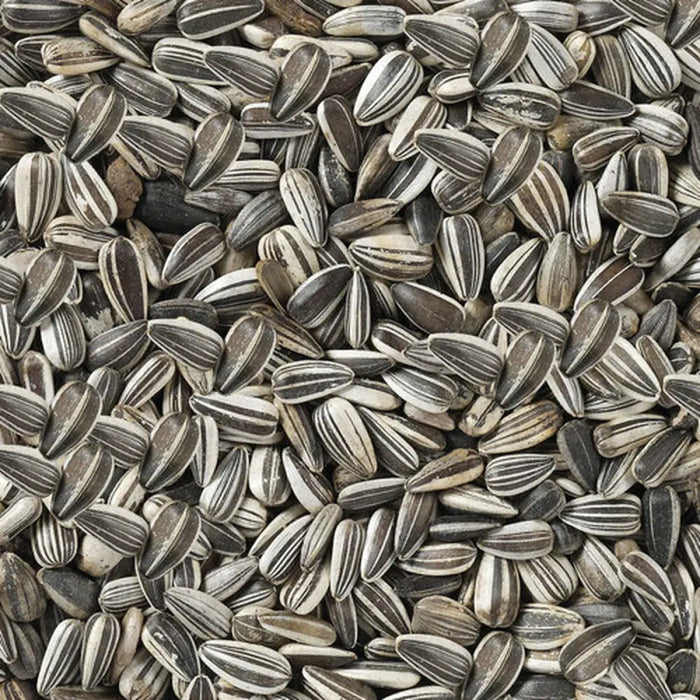 Bird food Deli Nature Premium 2,5 kg - Домашни Животни<<<Дом Градина<<<BigBuy&&&Хранене на домашни любимци<<<Домашни
