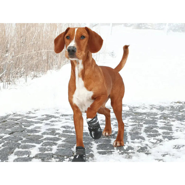 Boots Trixie 19463 Black M - Домашни Животни<<<Дом Градина<<<BigBuy&&&Пътуване и разходки<<<Домашни Животни<<<Дом