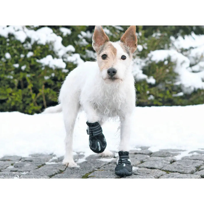 Boots Trixie Black - Домашни Животни<<<Дом Градина<<<BigBuy&&&Пътуване и разходки<<<Домашни Животни<<<Дом