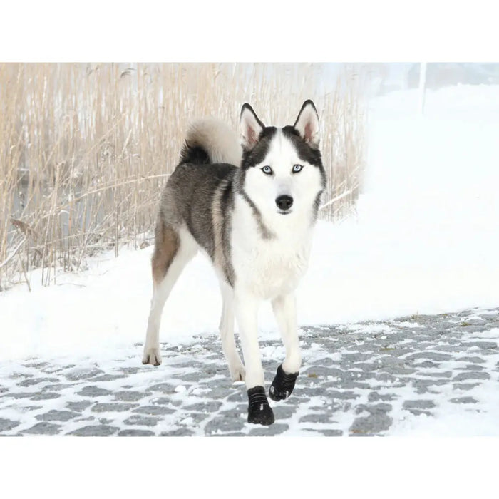 Boots Trixie Black L/XL - Домашни Животни<<<Дом Градина<<<BigBuy&&&Пътуване и разходки<<<Домашни Животни<<<Дом