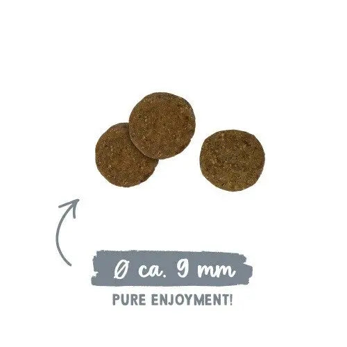 BOSCH Sanabelle Light Low Calorie Poultry - dry cat food - 8kg - Dry foodDLK-KAS<<<For the catDLK<<<ActionPL