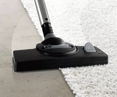 Vacuum cleaner Bosch BWD421PRO