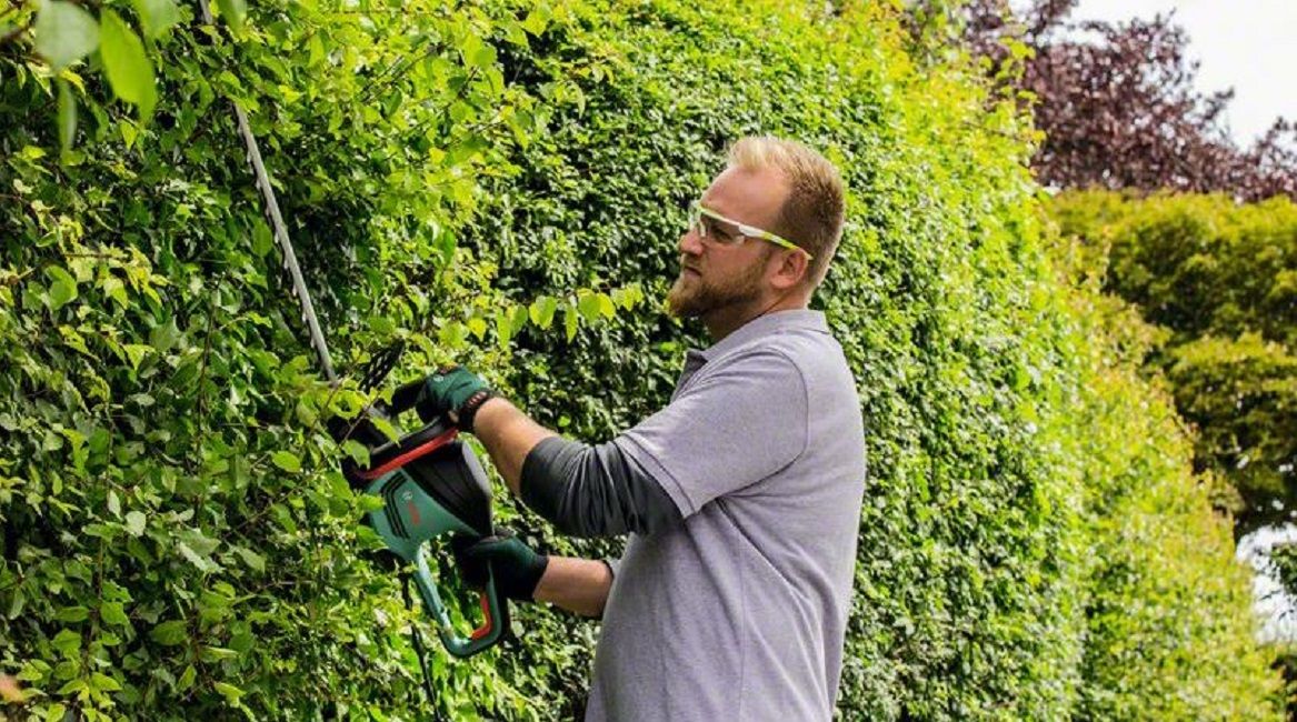 Hedge trimmer BOSCH   500 W 65 cm