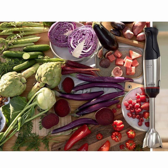 Blender BOSCH ErgoMaster MSM6M623