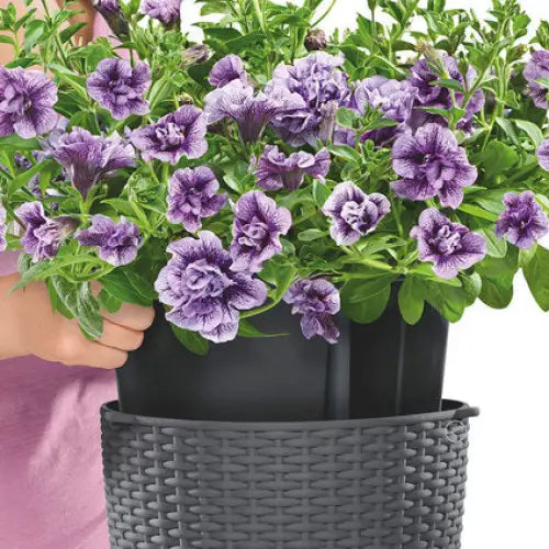 BOX F27CM WITH IRRIGATION SYSTEM LECHUZA NIDO COTTAGE - Саксии<<<Саксии кашпи и